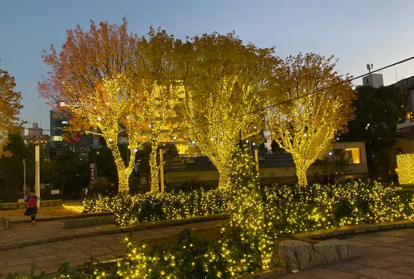 警固公園の写真・動画_image_410247