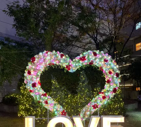 警固公園の写真・動画_image_410249