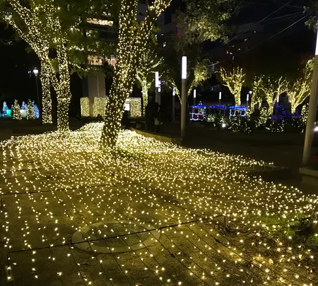 警固公園の写真・動画_image_410253