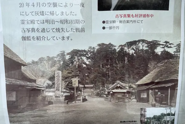 池上本門寺の写真・動画_image_410492