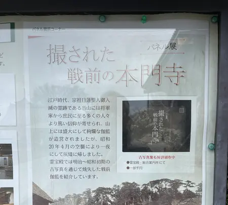 池上本門寺の写真・動画_image_410493