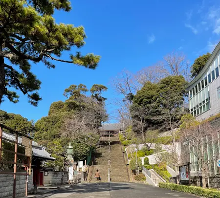 池上本門寺の写真・動画_image_410494