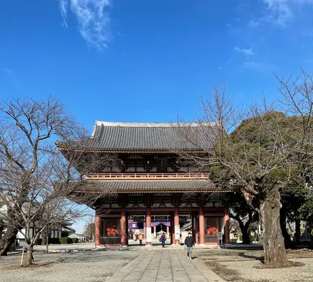 池上本門寺の写真・動画_image_410497
