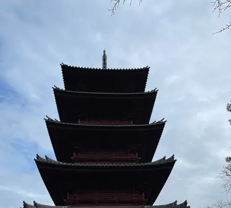 池上本門寺の写真・動画_image_410499