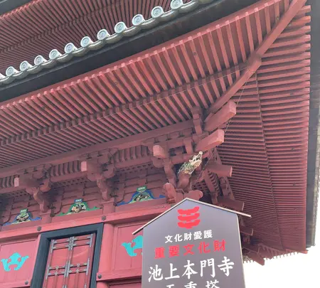 池上本門寺の写真・動画_image_410500