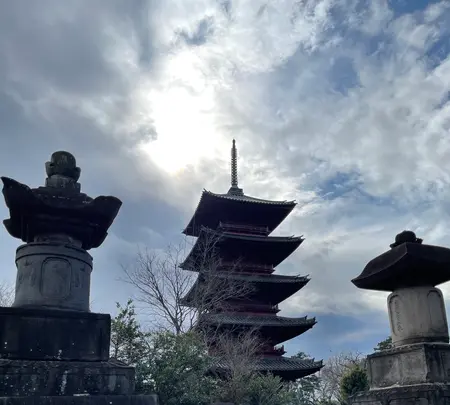 池上本門寺の写真・動画_image_410503