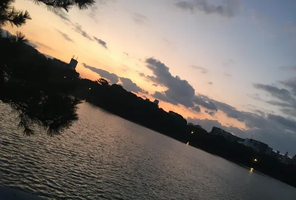 大濠公園の写真・動画_image_410805