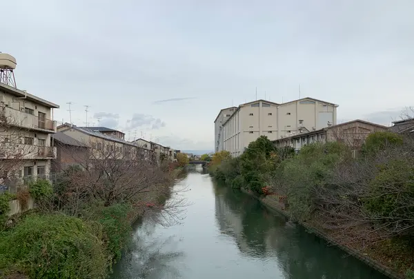 坂本龍馬、避難の材木小屋跡の写真・動画_image_410820