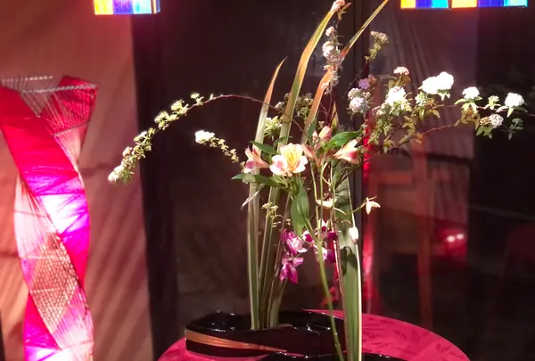 発酵カフェ小春日和の写真・動画_image_410920