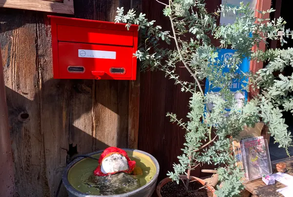 松右衛門帆の写真・動画_image_411010