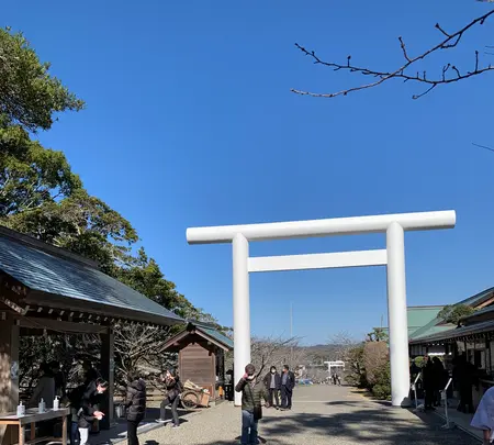 安房神社の写真・動画_image_411024