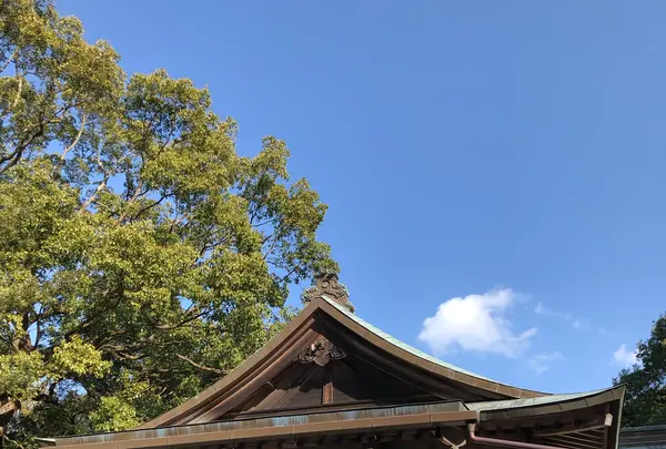 阿波岐原森林公園 市民の森「みそぎ池」の写真・動画_image_411056