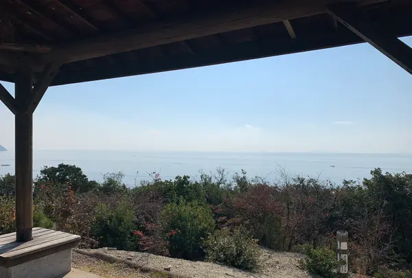 仙酔島の写真・動画_image_411072