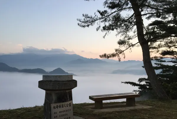 国見ヶ丘展望台の写真・動画_image_411128
