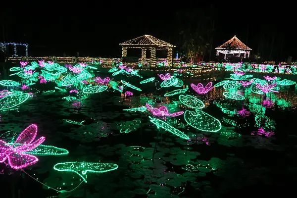 東南植物楽園の写真・動画_image_411298