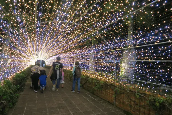 東南植物楽園の写真・動画_image_411299