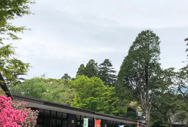 霧島神宮の写真・動画_image_411373