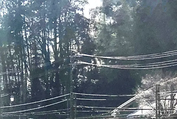 千頭駅の写真・動画_image_411540