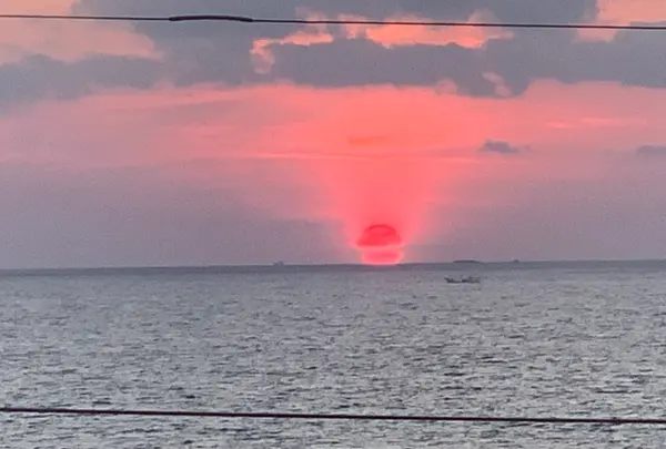 割烹旅館かねやすの写真・動画_image_412479