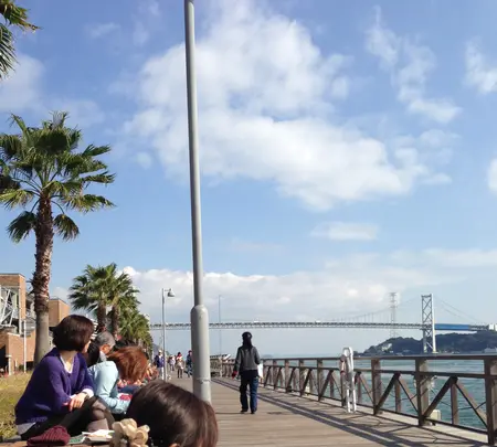 唐戸市場の写真・動画_image_412610