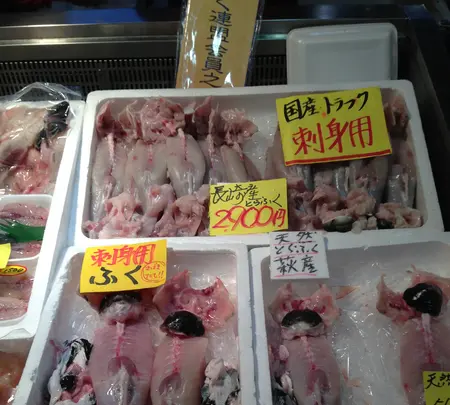 唐戸市場の写真・動画_image_412611