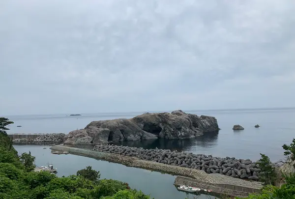 花房商店の写真・動画_image_412618