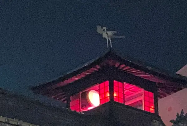 道後温泉本館の写真・動画_image_412633