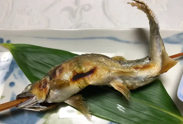 宮滝温泉 まつやの写真・動画_image_412677