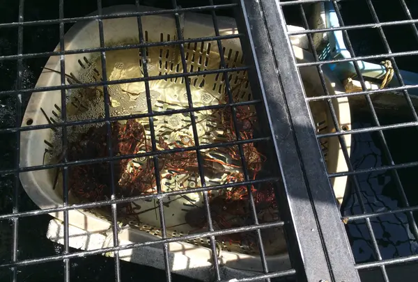 磯料理『山田屋』の写真・動画_image_412756