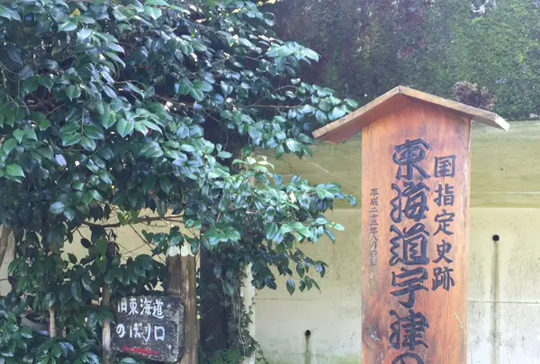 蕎麦処きしがみの写真・動画_image_412810