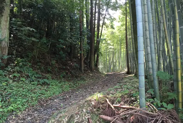 蕎麦処きしがみの写真・動画_image_412815