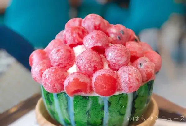 Cafe BingGo(カフェビンゴ)の写真・動画_image_412824