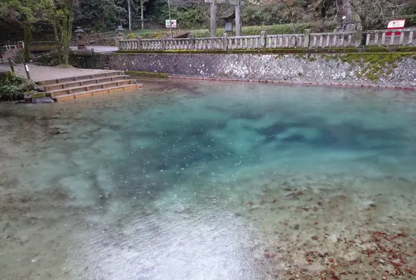 別府弁天池の写真・動画_image_413276
