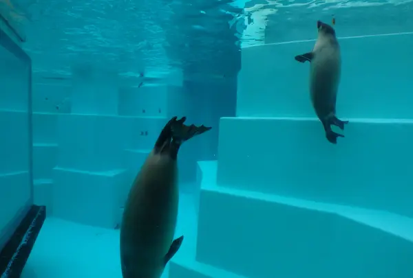 マリンワールド海の中道の写真・動画_image_413296