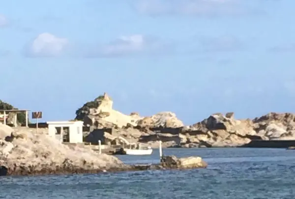 仁右衛門島の写真・動画_image_413434