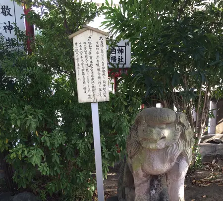 白幡神社の写真・動画_image_413455