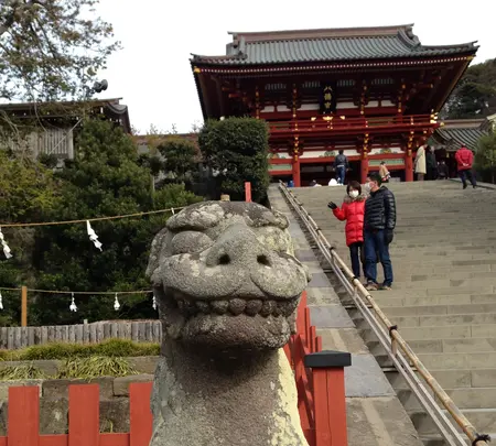 鶴岡八幡宮の写真・動画_image_413462