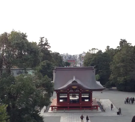 鶴岡八幡宮の写真・動画_image_413464