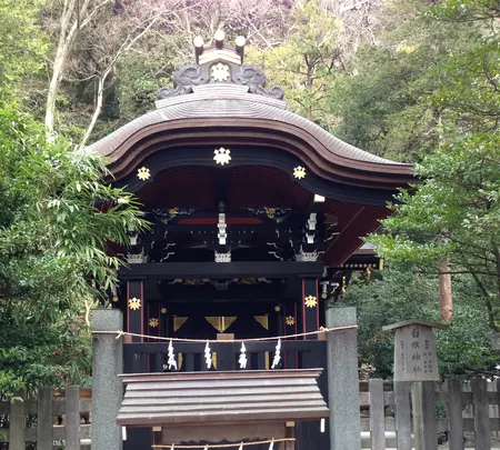 鶴岡八幡宮の写真・動画_image_413467