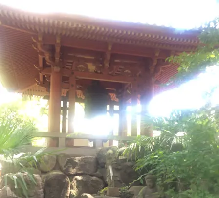 品川寺の写真・動画_image_413604
