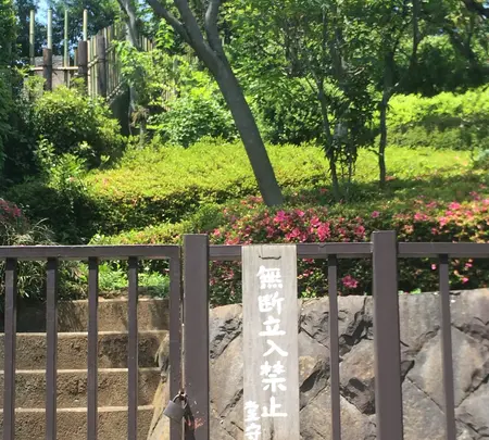 海晏寺の写真・動画_image_413614