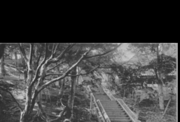 海晏寺の写真・動画_image_413615