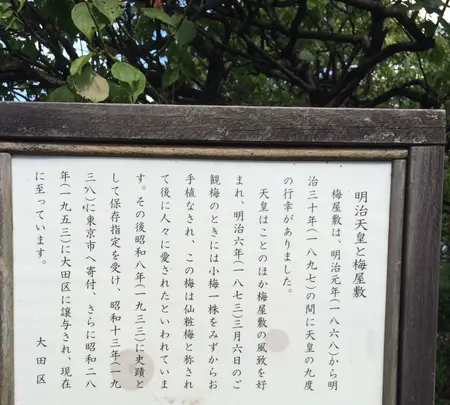 聖蹟蒲田梅屋敷公園の写真・動画_image_413643