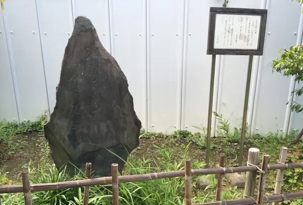 聖蹟蒲田梅屋敷公園の写真・動画_image_413645