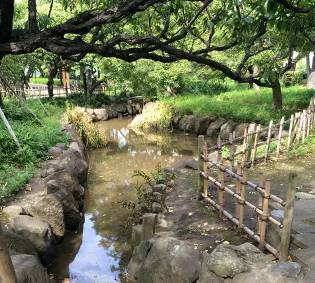 聖蹟蒲田梅屋敷公園の写真・動画_image_413648