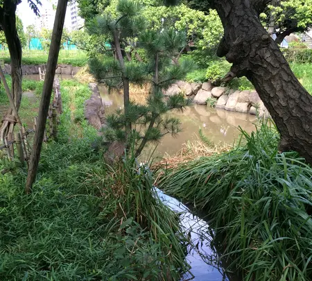 聖蹟蒲田梅屋敷公園の写真・動画_image_413649