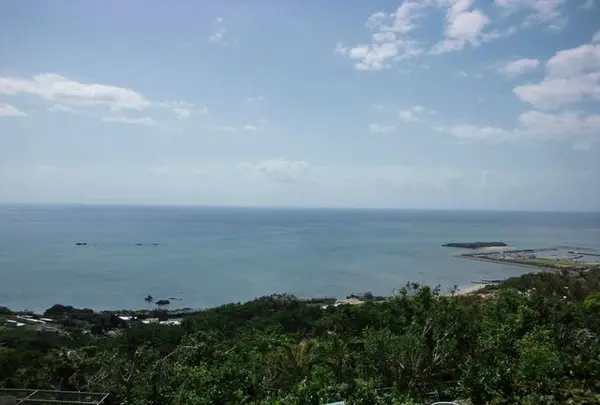 カフェくるくまの写真・動画_image_413830