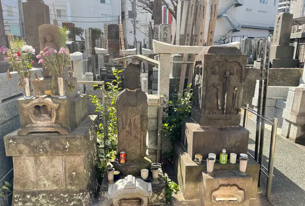 宗三寺の写真・動画_image_413921