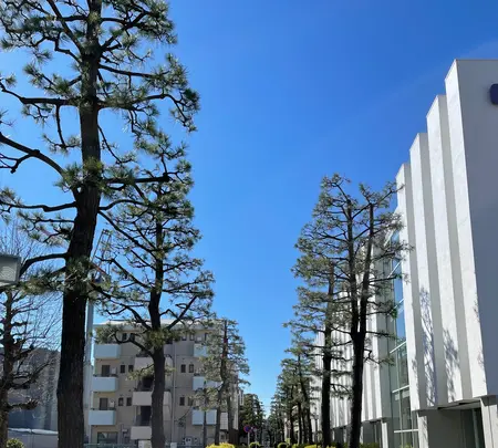 神奈川宿高札場跡の写真・動画_image_413950