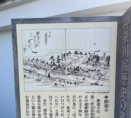 慶運寺の写真・動画_image_413957